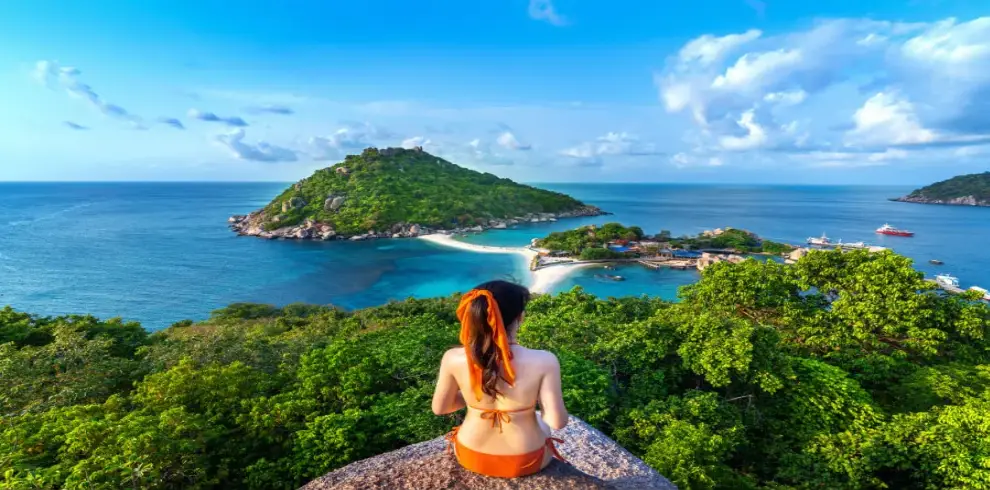 tte-sea-view-baner-1